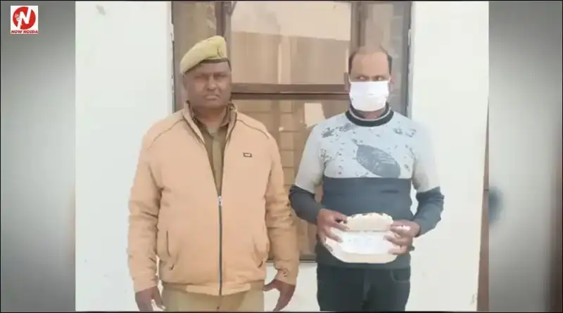top-news