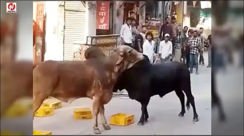 top-news