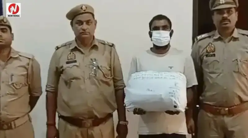 नोएडा पुलिस ने हिस्ट्रीशीटर को किया गिरफ्तार, गांजा तस्करी, हत्या के प्रयास और अपहरण समेत 30 मुकदमे हैं दर्ज